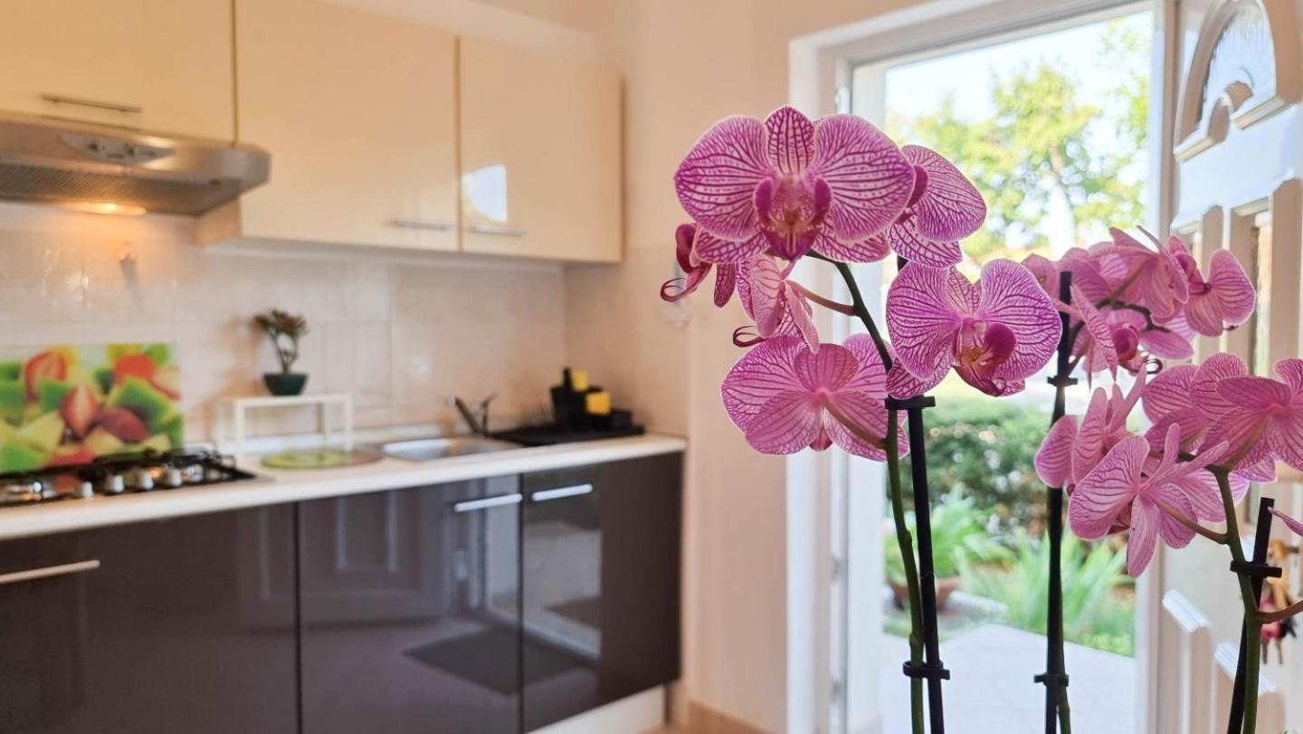 Ferienwohnung Bosko Umag Exterior foto